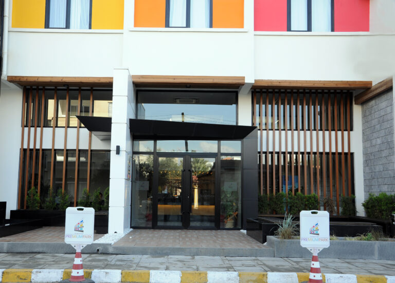 GİRİŞ